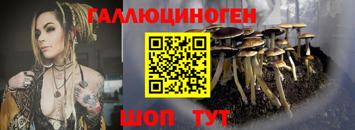 Псилоцибиновые грибы Magic Shrooms  Вход с VPN  Южноуральск  Галлюциногенные грибы Psilocybe 